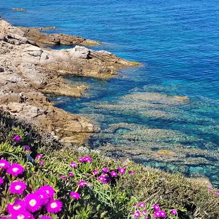 Bella Sirena Βίλα Valledoria (Sardinia)